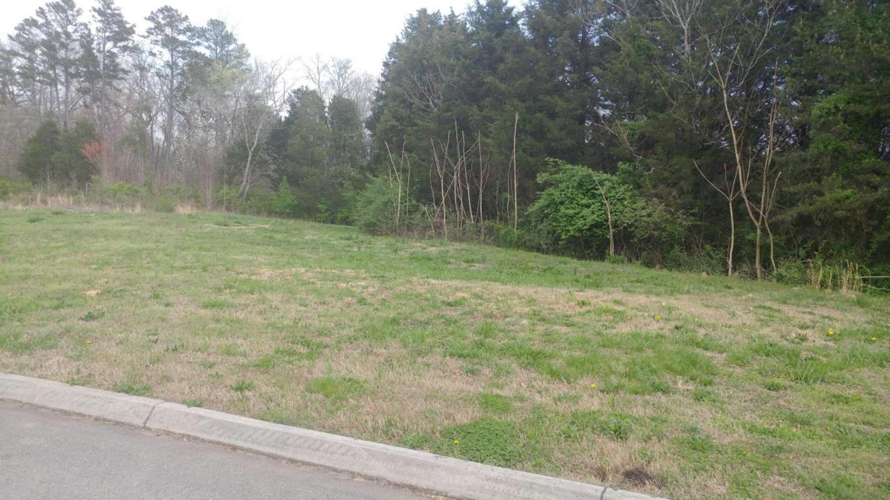 12166 Fredericksburg Blvd - Photo 1