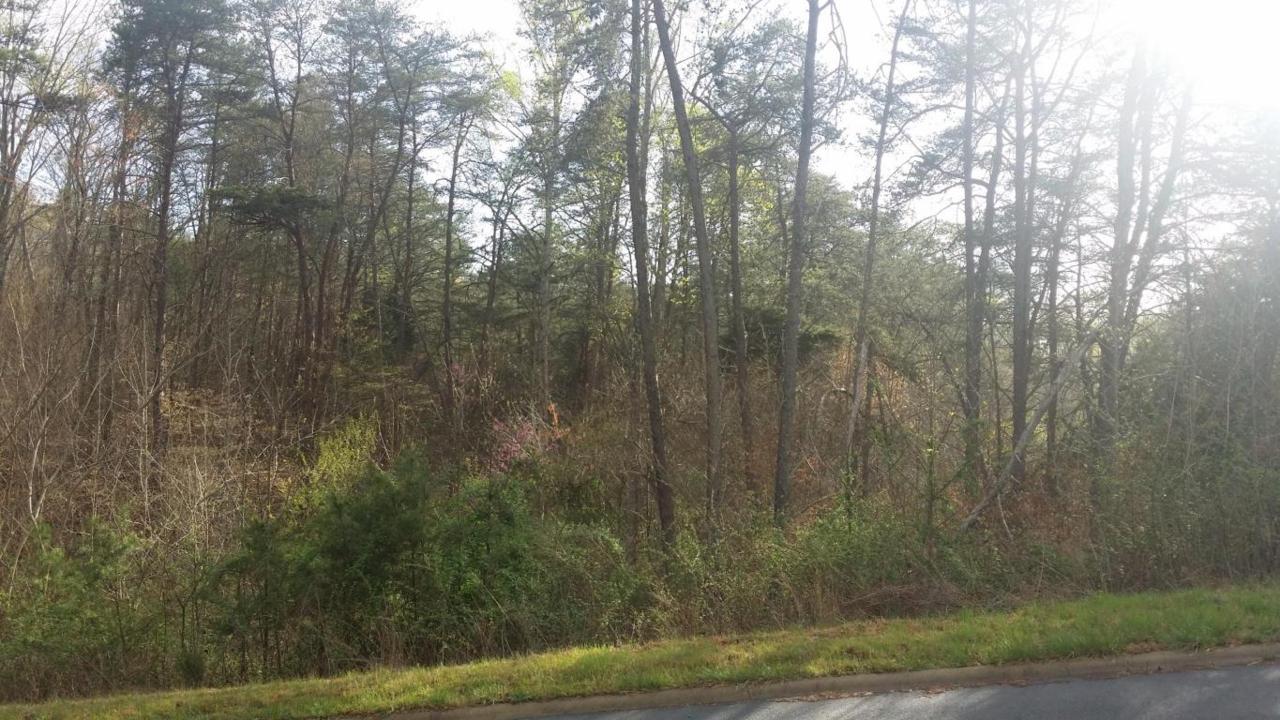 Lot 18 Cove Springs Dr - Photo 1