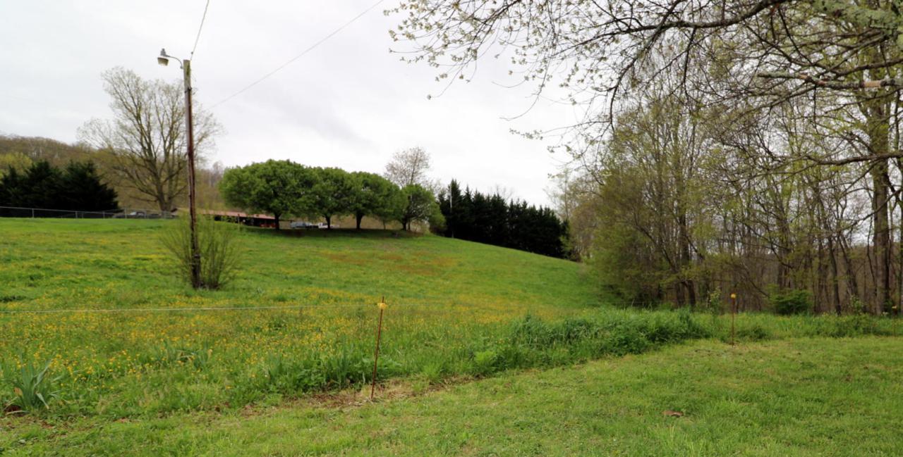 Trammel Cem Rd - Photo 1