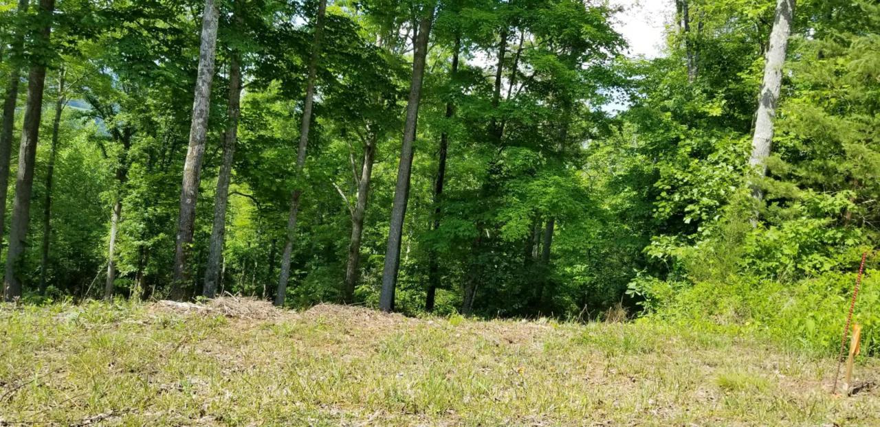 Saddle Ridge Drive - Photo 1