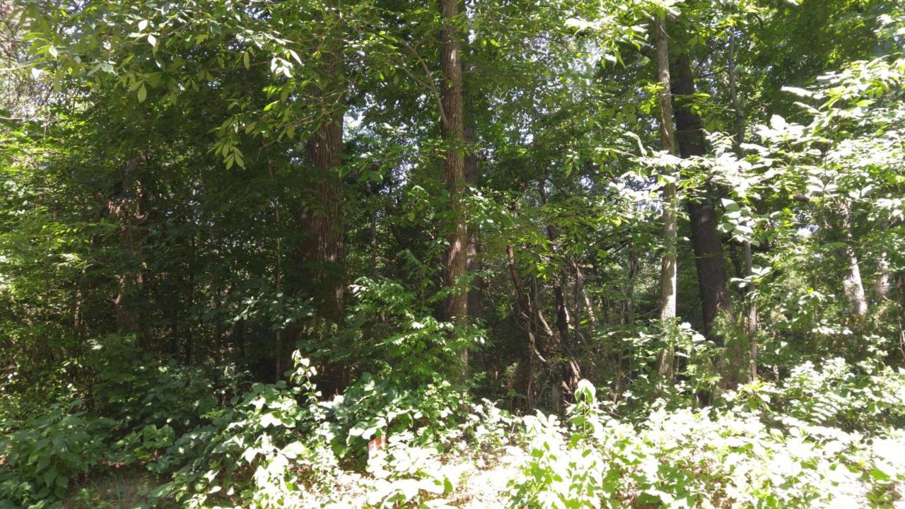 210 Mialaquo Circle - Photo 1