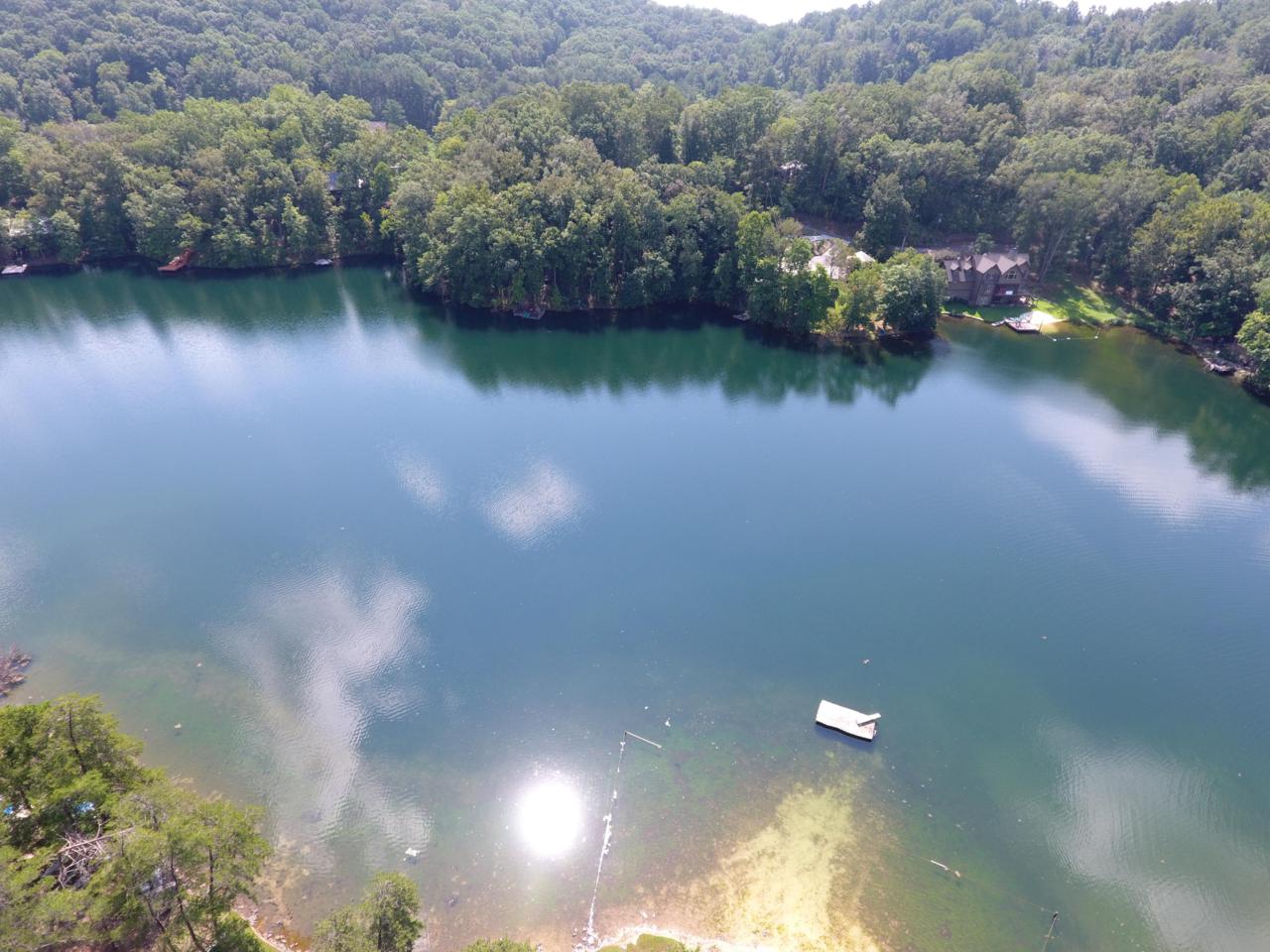 Lot 96 Polly Mtn Rd - Photo 1