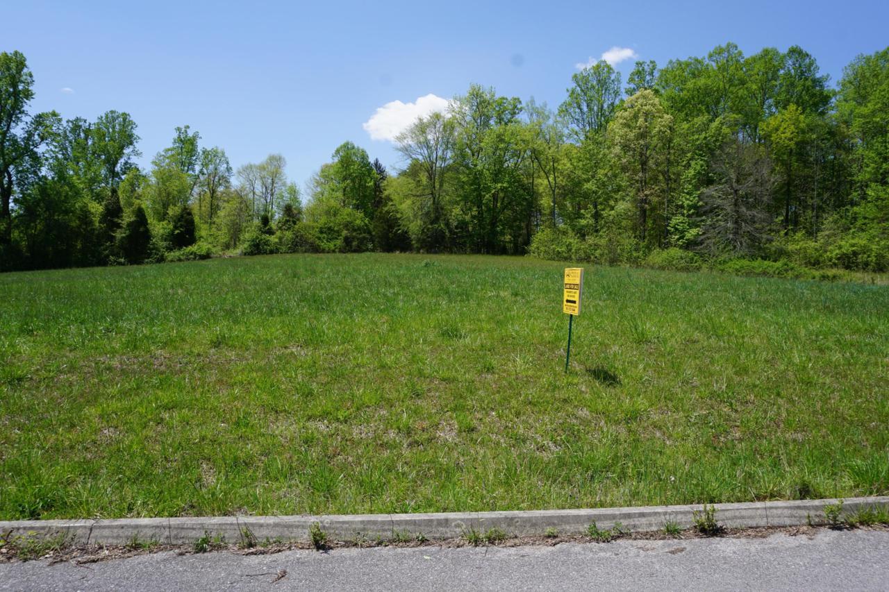 4 Dogwood Cove Drive - Photo 1