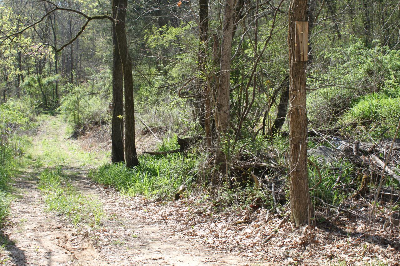 1428 Rocky Flats Rd - Photo 1