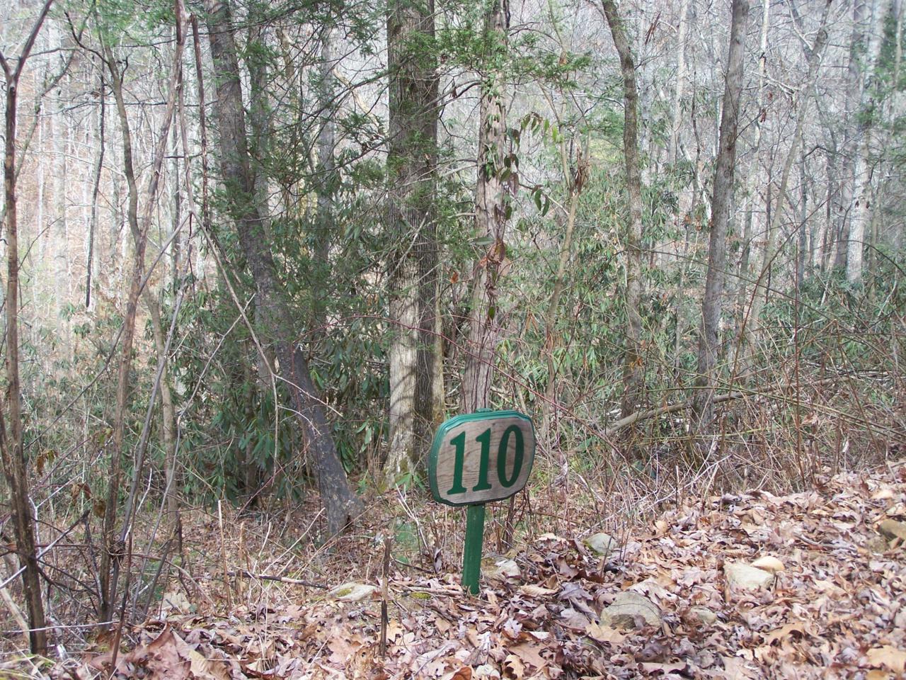 129 Springside Way - Photo 1