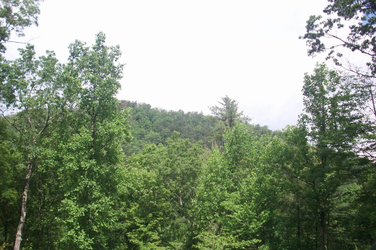 513 Chetola Tr - Photo 1