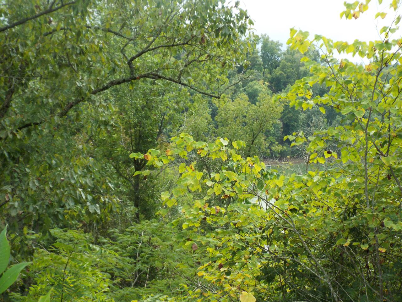 Lot 42 Stone Bridge Drive - Photo 1