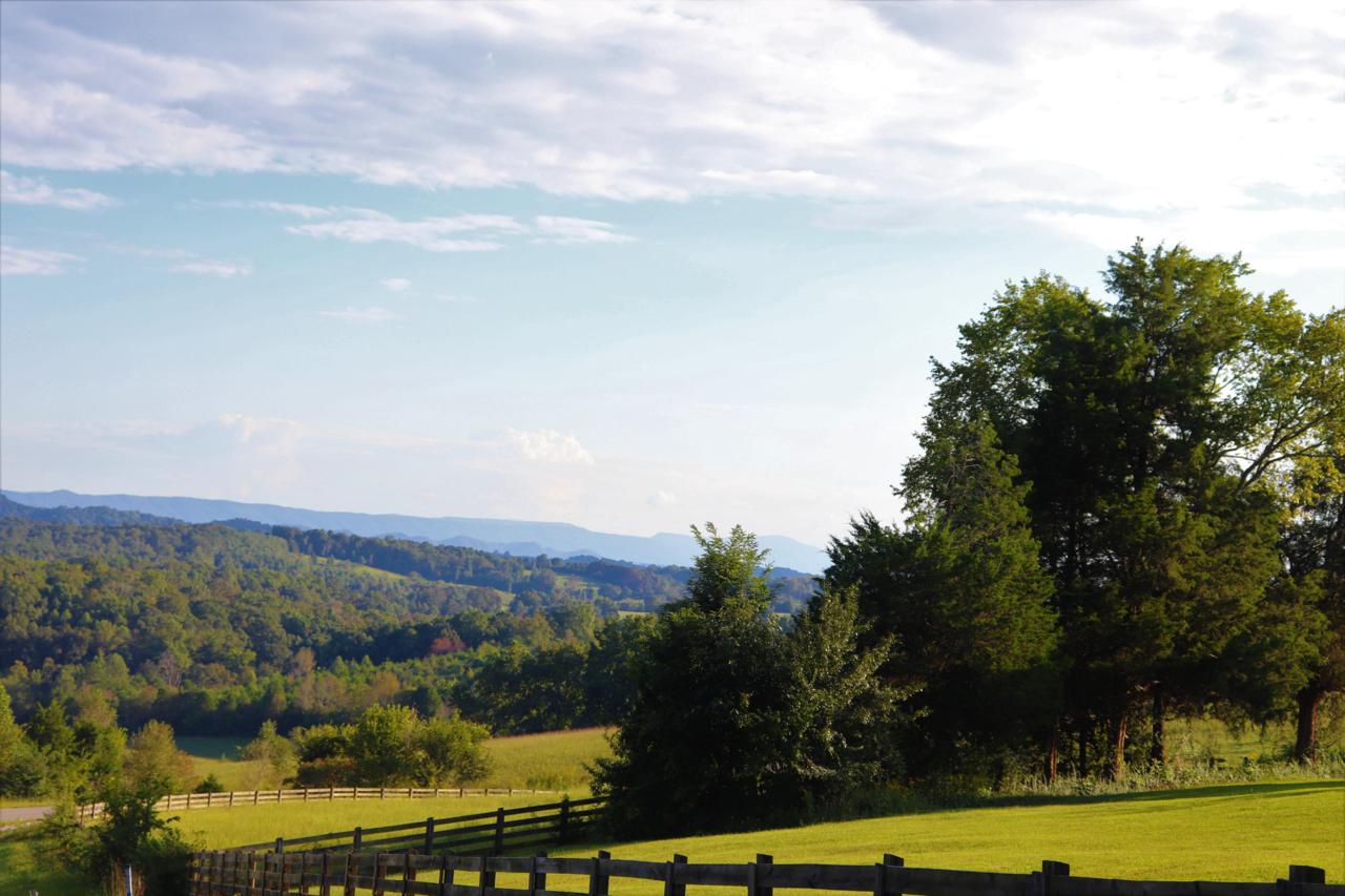 Lot #42 Hidden Meadow Lane - Photo 1