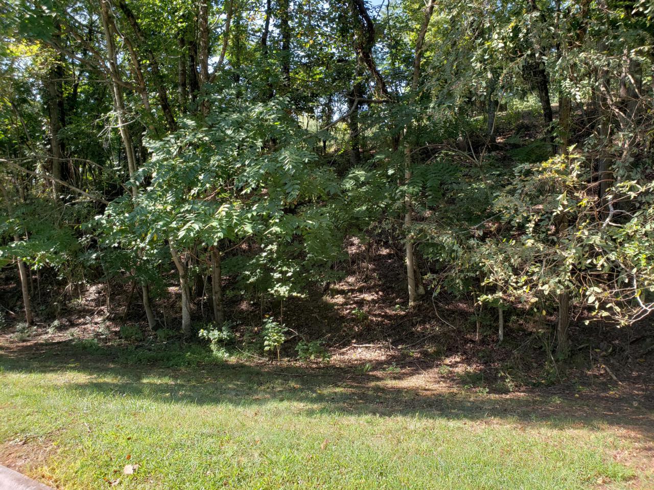 9039 Paradise View Drive - Photo 1 9039 Paradise View Drive - Photo 1