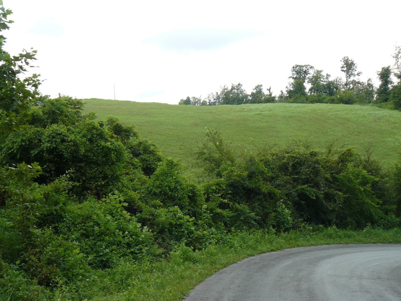 Lot 15 Lookout Drive - Photo 1