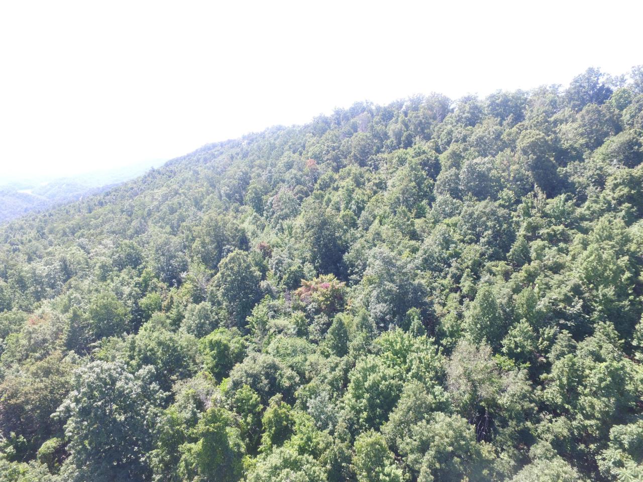 Lot 215 Clinch View Rd - Photo 1