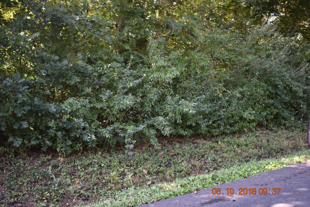 Old Highway 68 Hwy - Photo 1