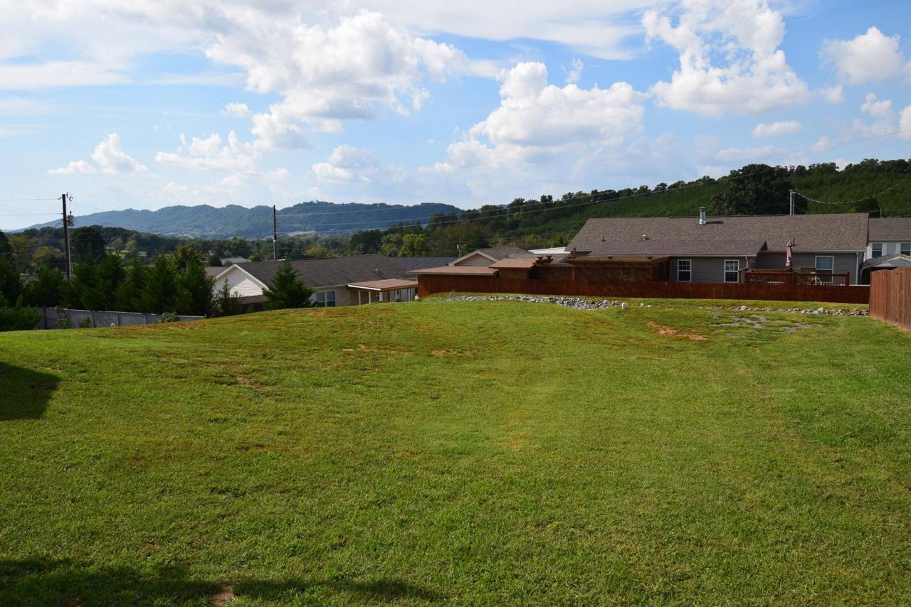 1310 Elm Village Court - Photo 1