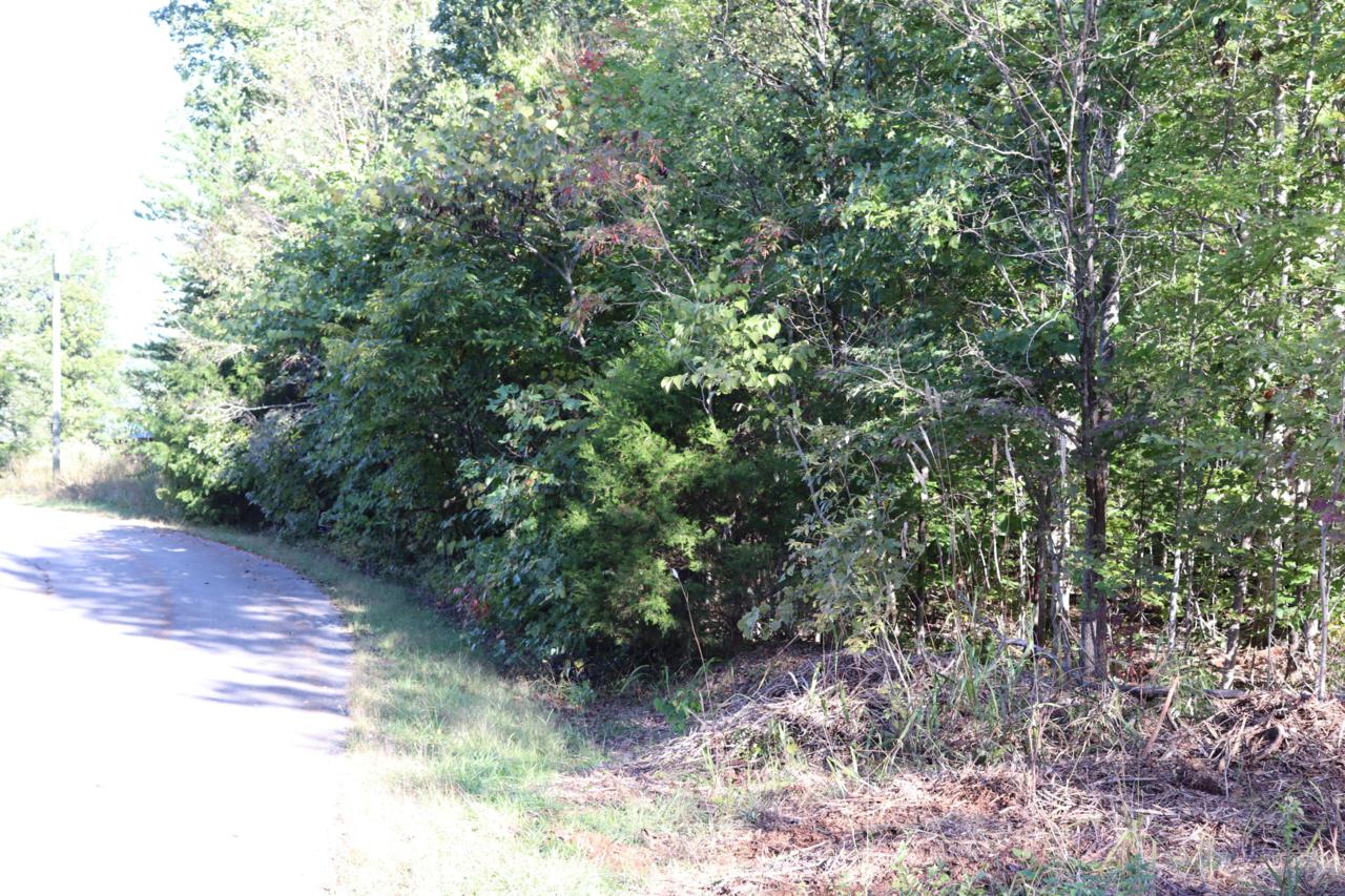 Lot 82 Polly Mtn Rd - Photo 1