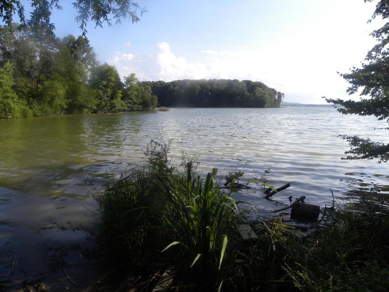 Cedar Point Drive - Photo 1
