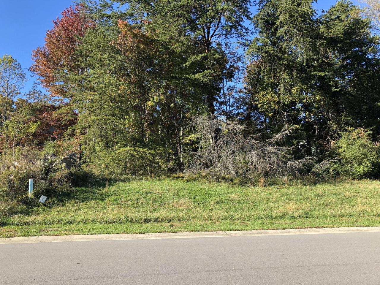 105 Crossroads Blvd - Photo 1