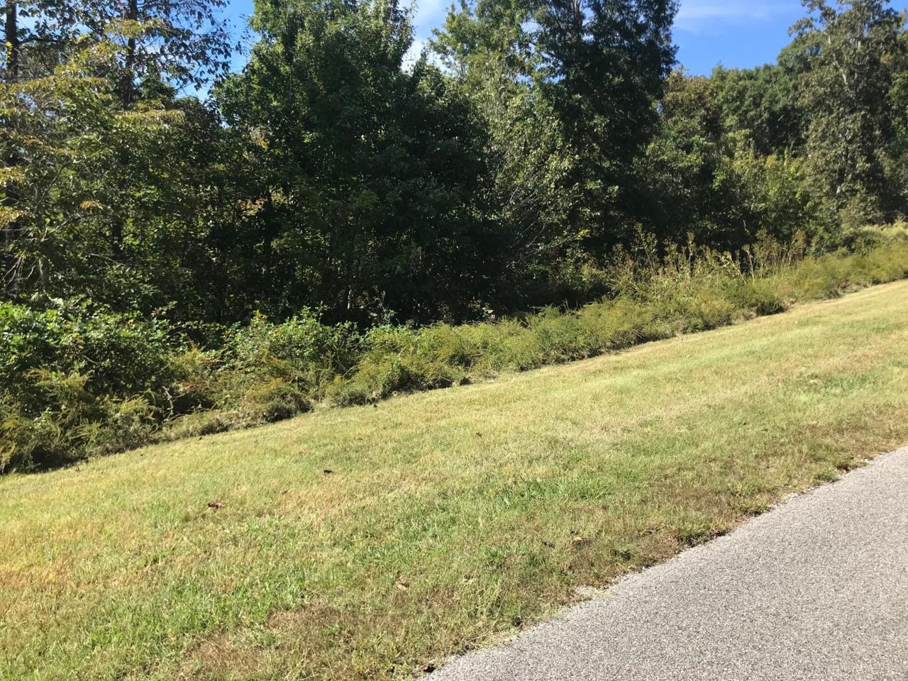 Lot 384 Thief Neck View Drive - Photo 1