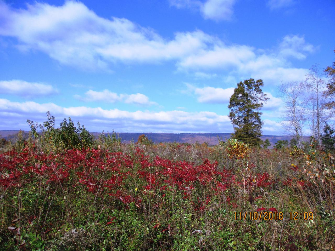 K5 Sneed Rd - Photo 1