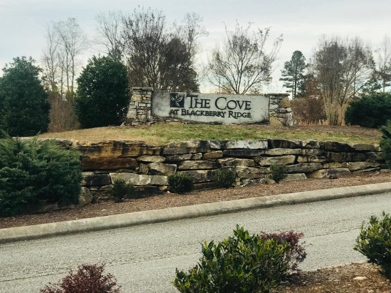 Lot 85 Twin Lakes Drive - Photo 1