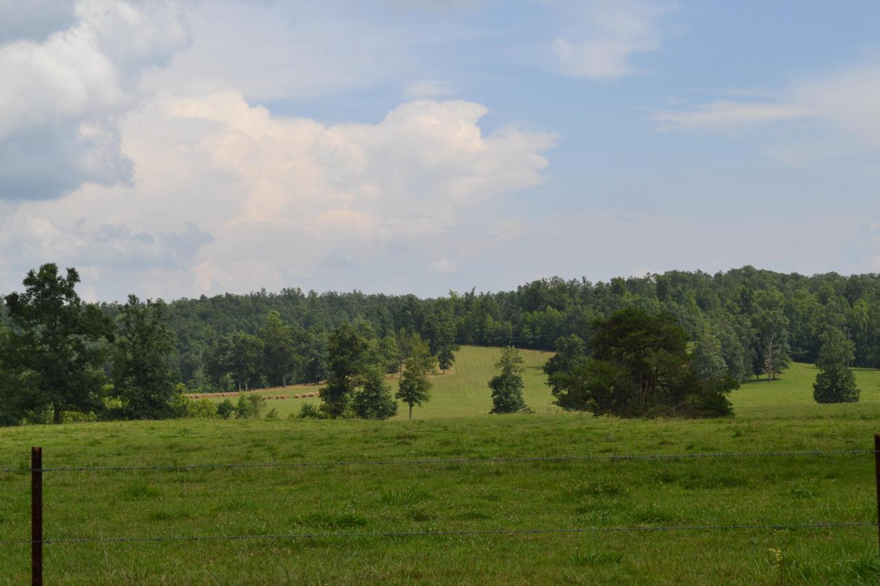 Glade Creek Rd - Photo 1