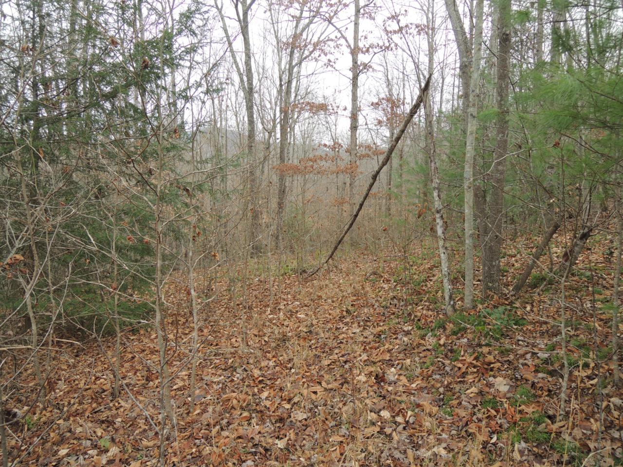 Emory View - Photo 1