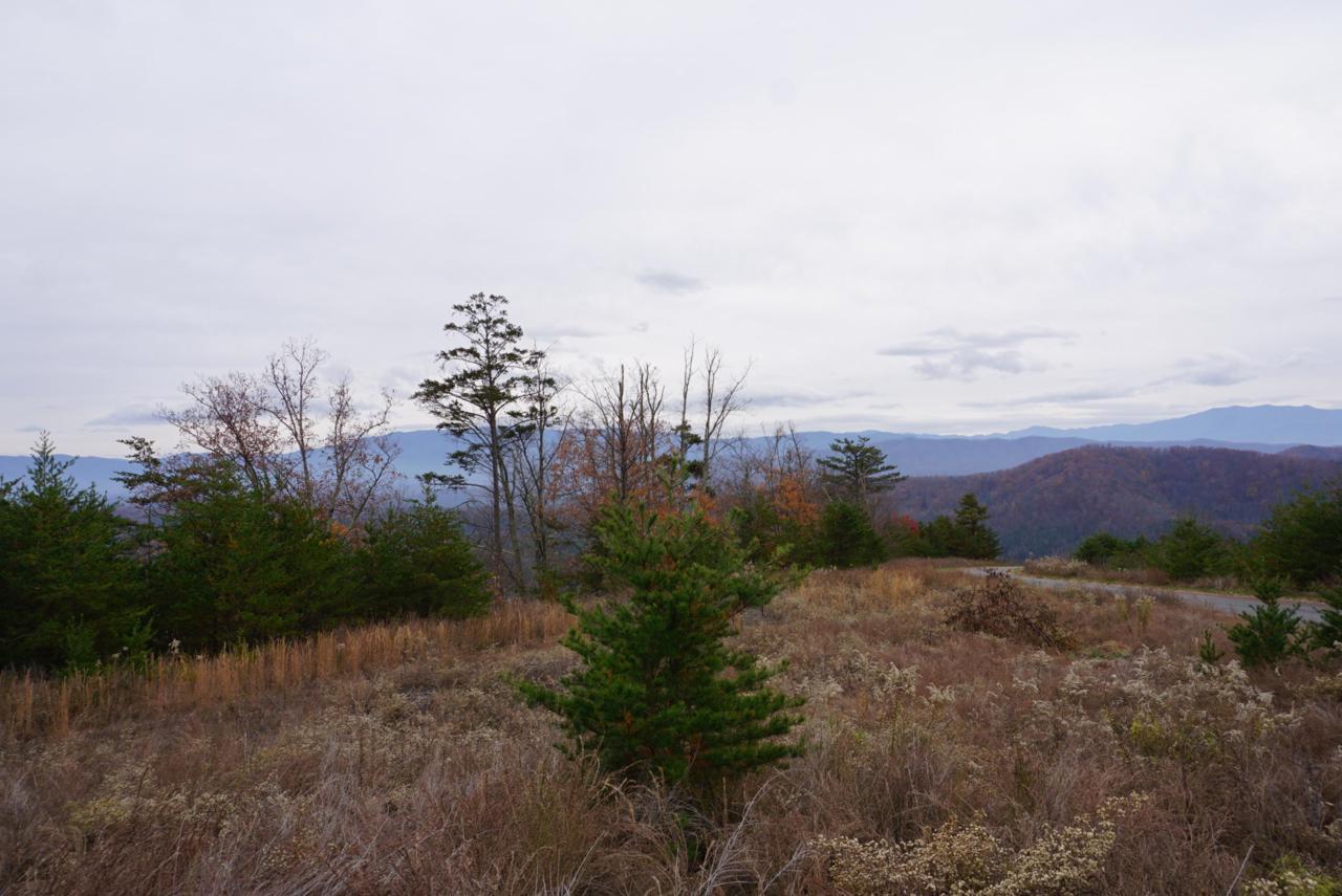 Mountian Ash Way - Photo 1
