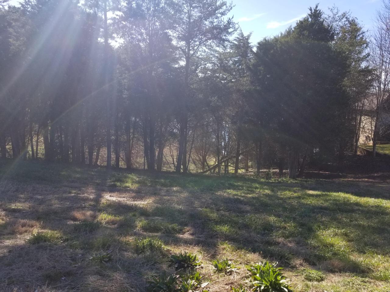 163 Indian Shadows Drive - Photo 1