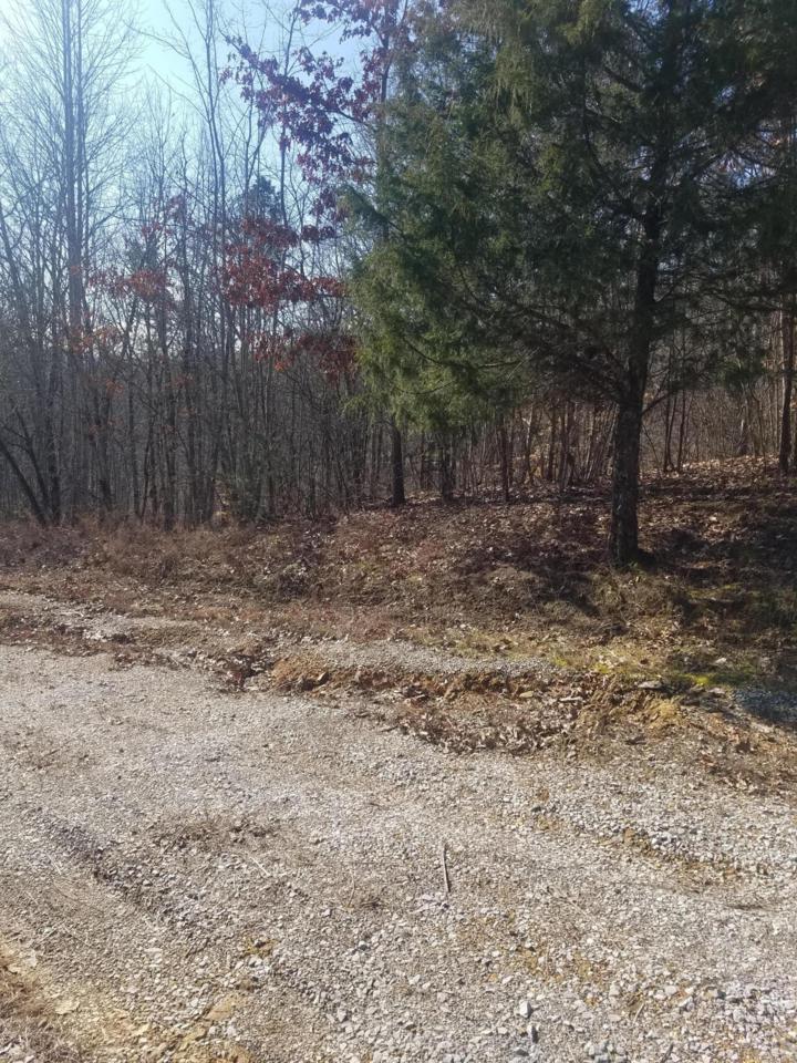 Lake Overlook - Photo 1