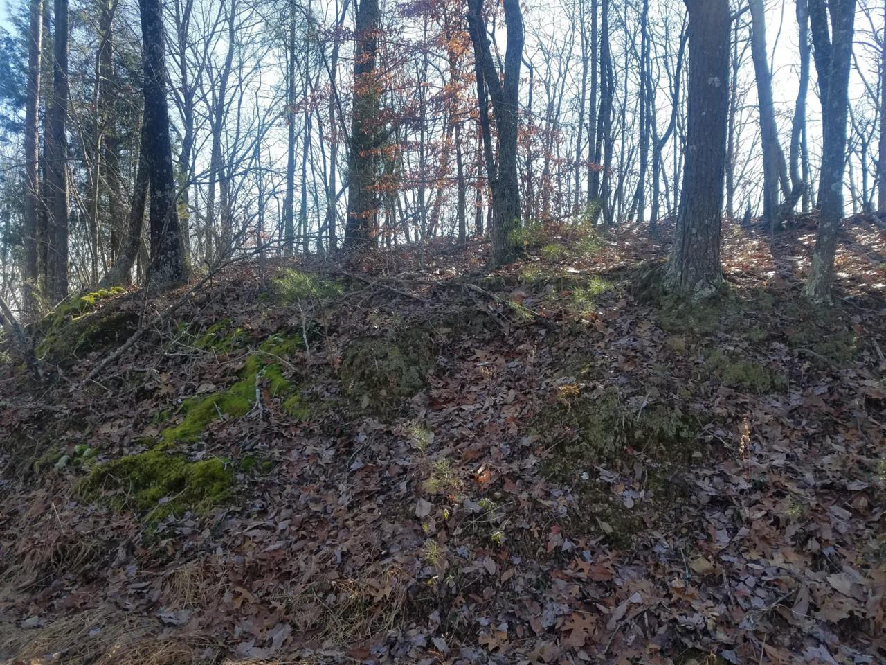 Lake Overlook - Photo 1