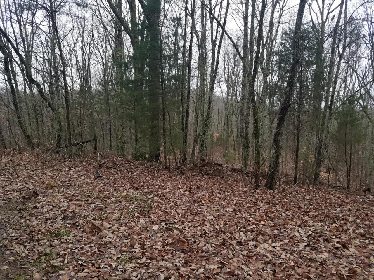 Oak Hill Lane - Photo 1