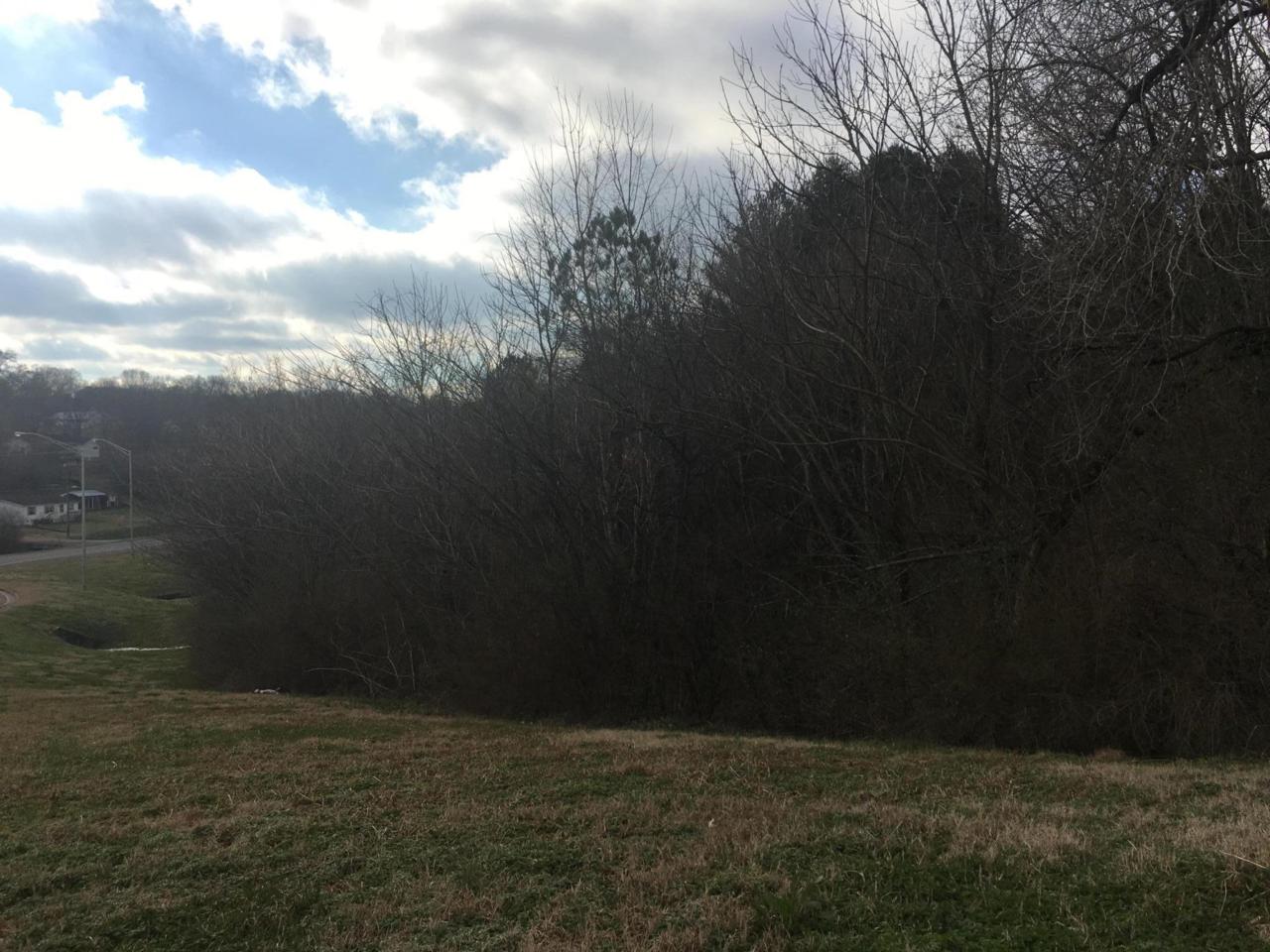 Oakland Rd - Photo 1