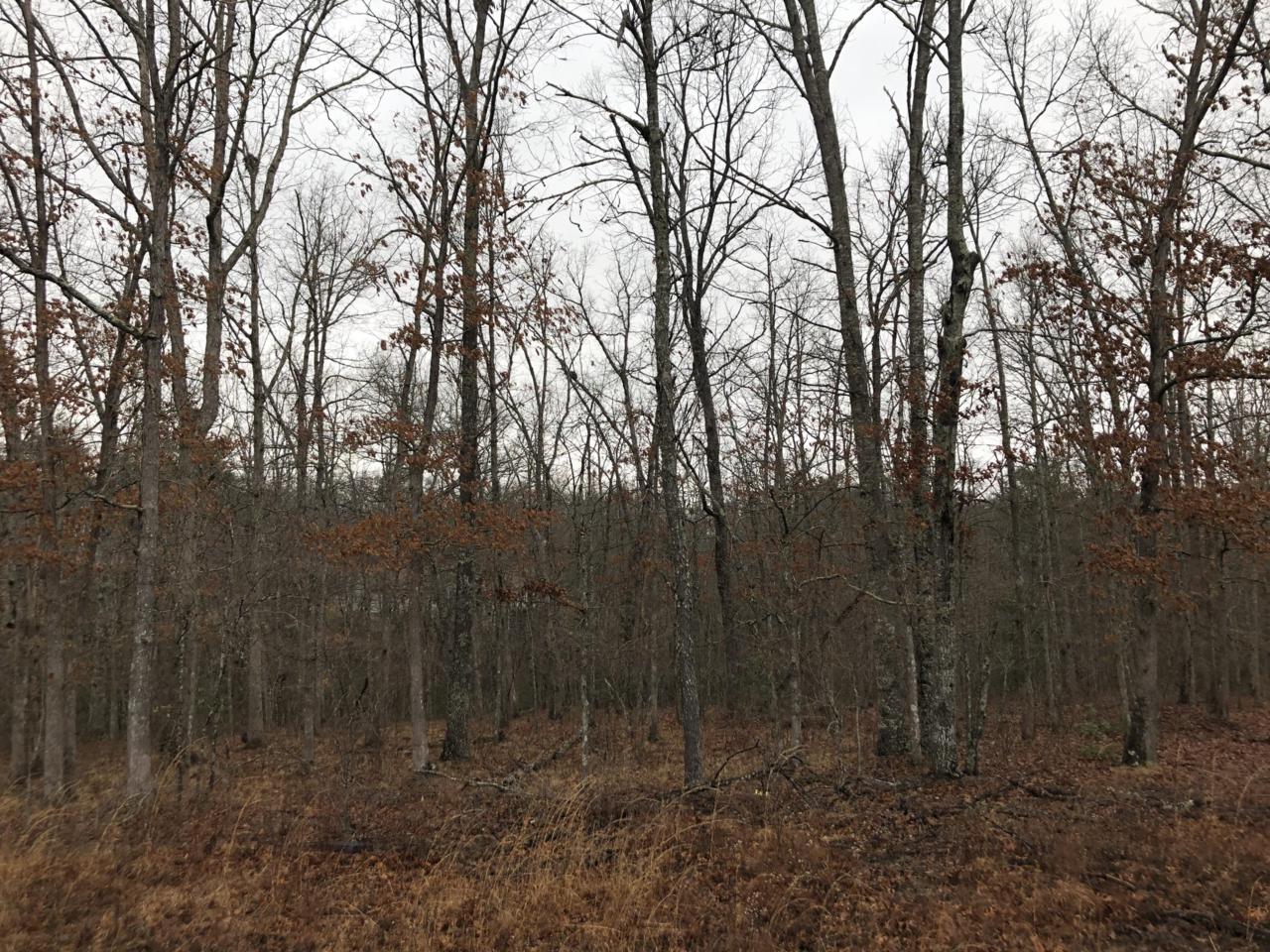 Lincolnshire Drive - Photo 1
