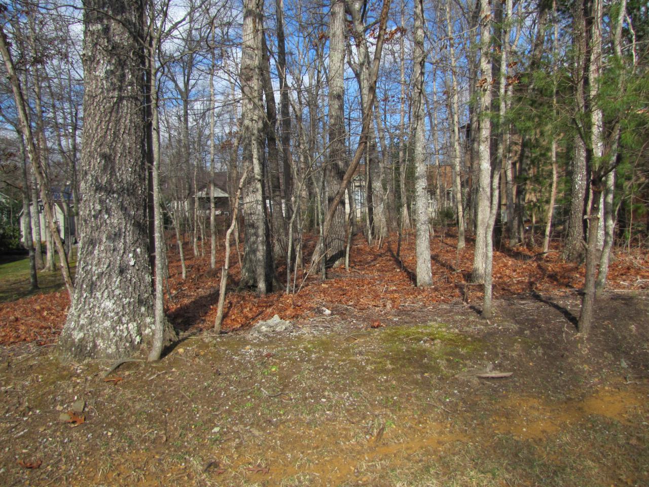 149 Norcross Rd - Photo 1