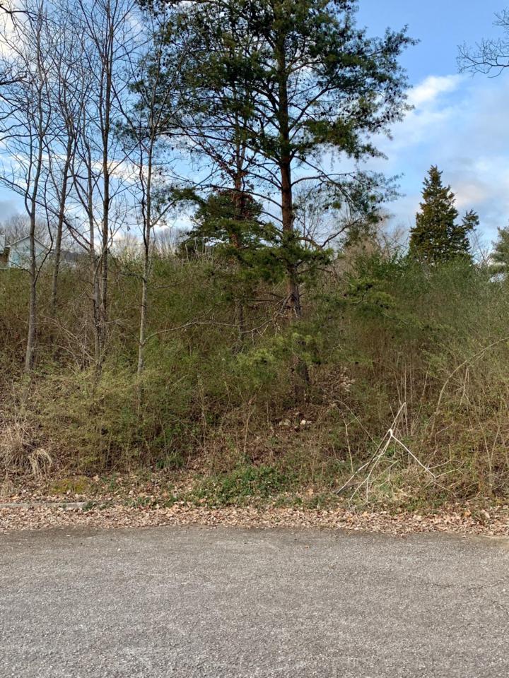 675 Bona Vista Lane - Photo 1
