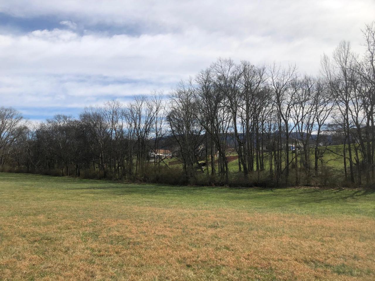 634 Winding Creek Way - Photo 1