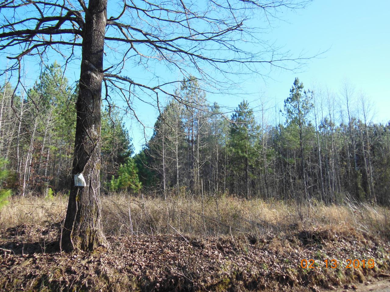6.98 Ac Ridge Rd - Photo 1