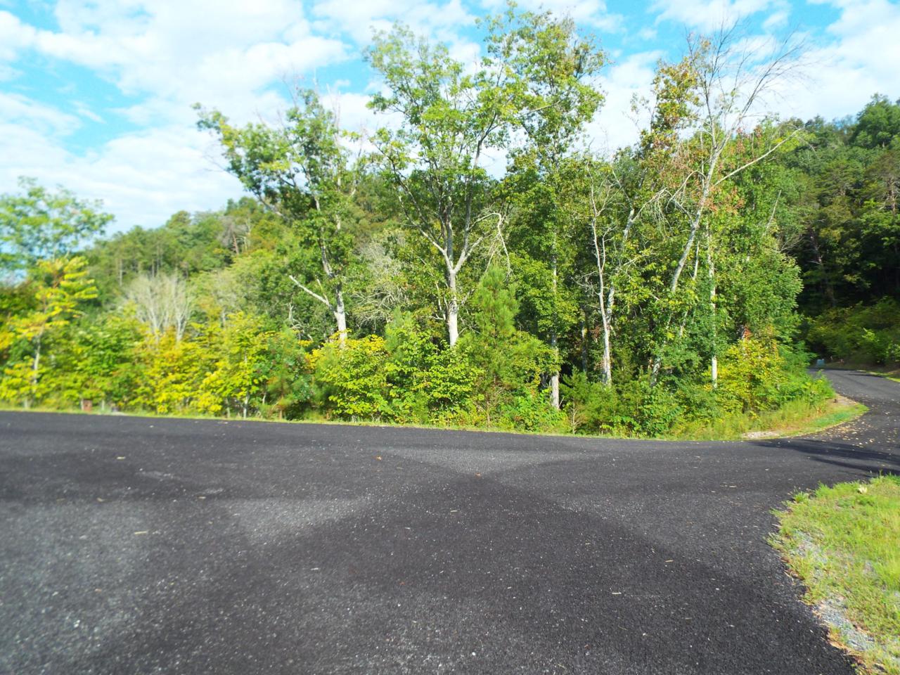 Stone Bridge Drive Drive - Photo 1