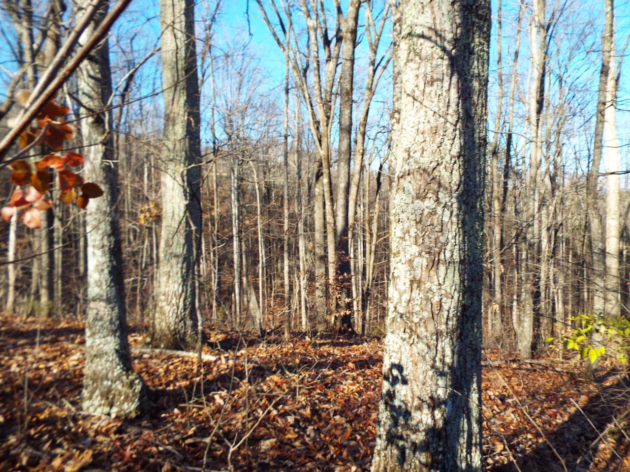 English Creek Road - Photo 1