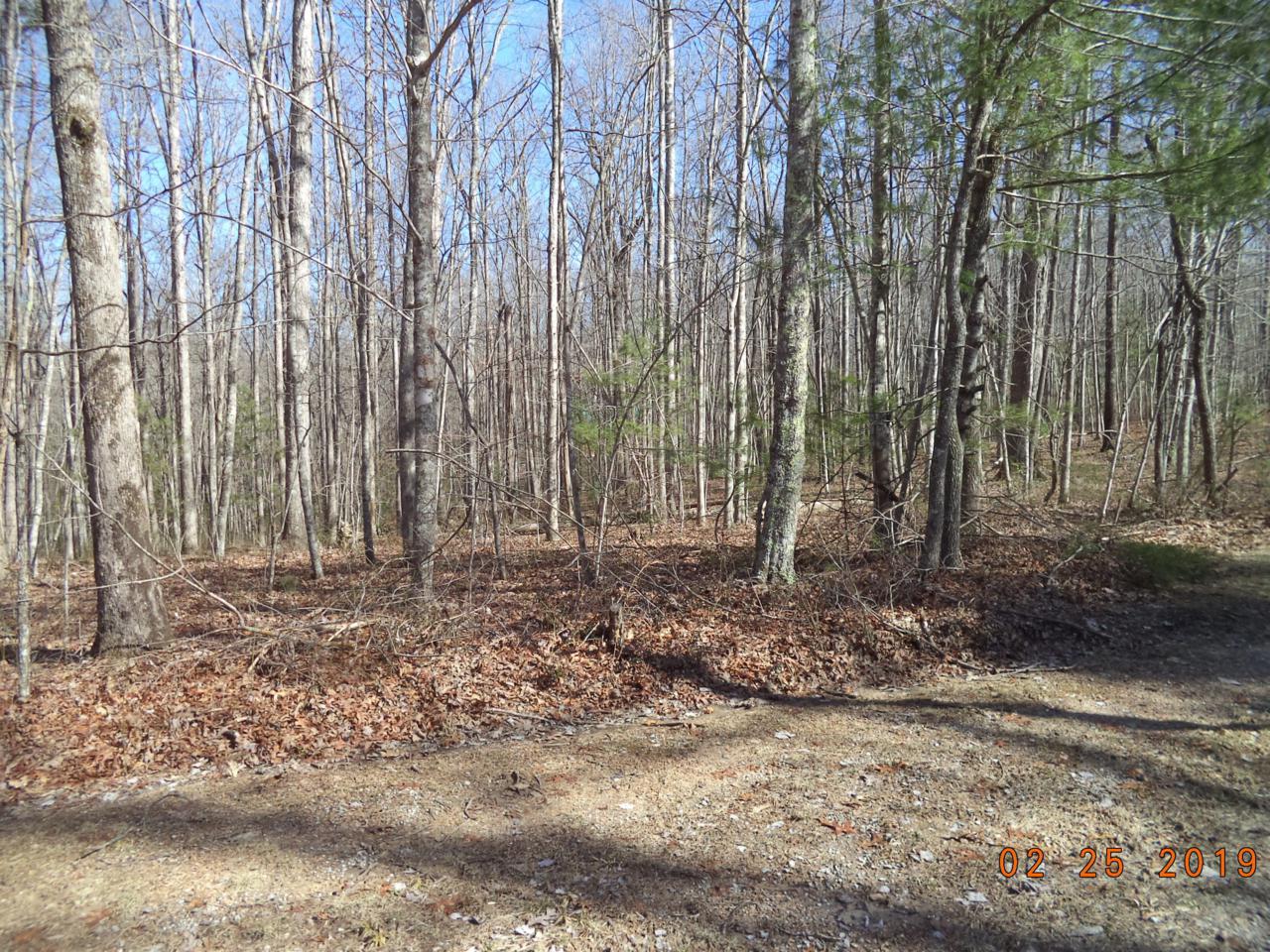 Doe Ridge Wilderness Resorts Rd Oneida Tn 37841 1071054
