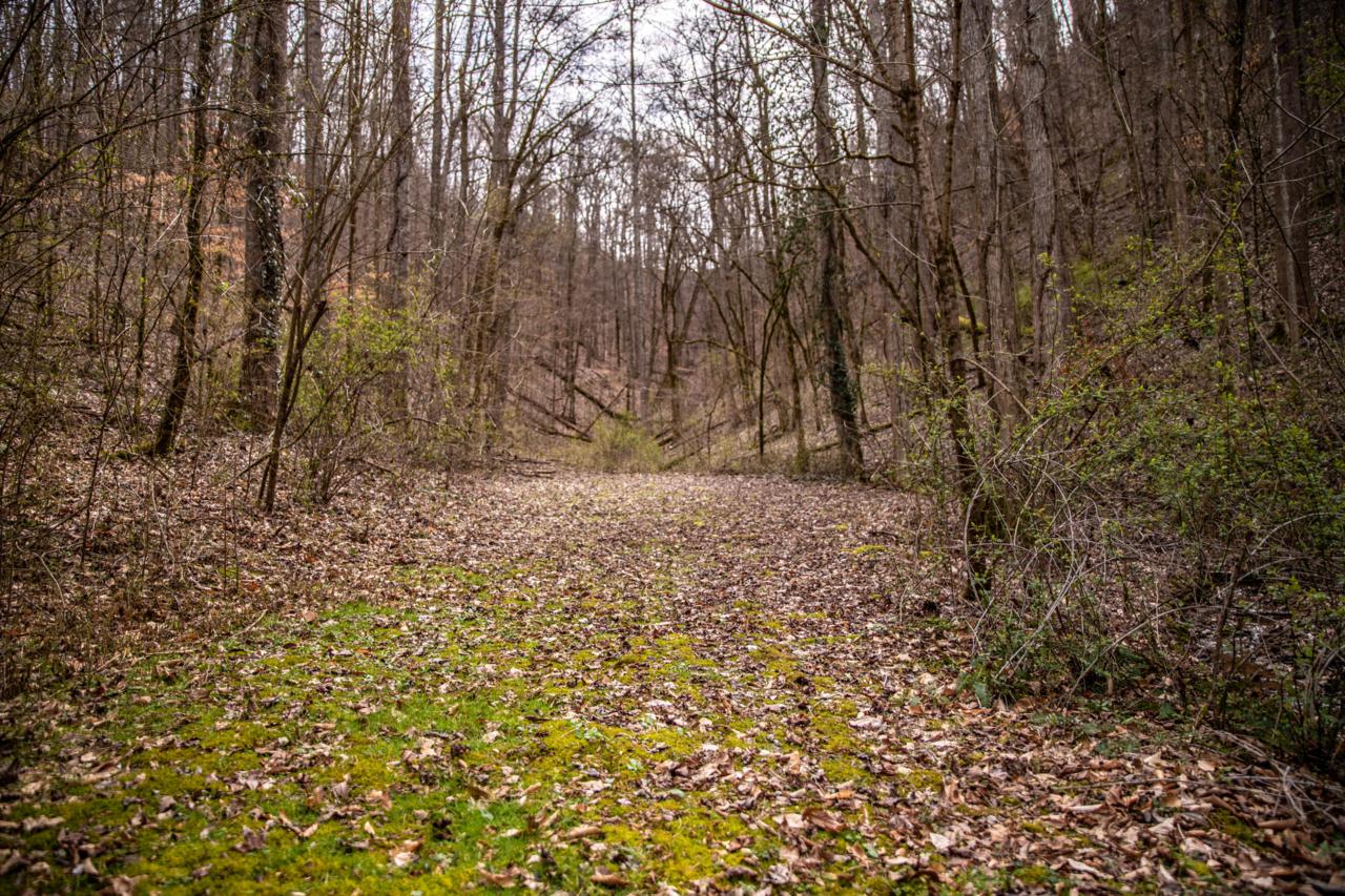Chestnut Ridge Rd - Photo 1