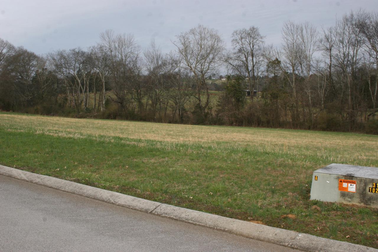 Old Hickory Circle - Photo 1