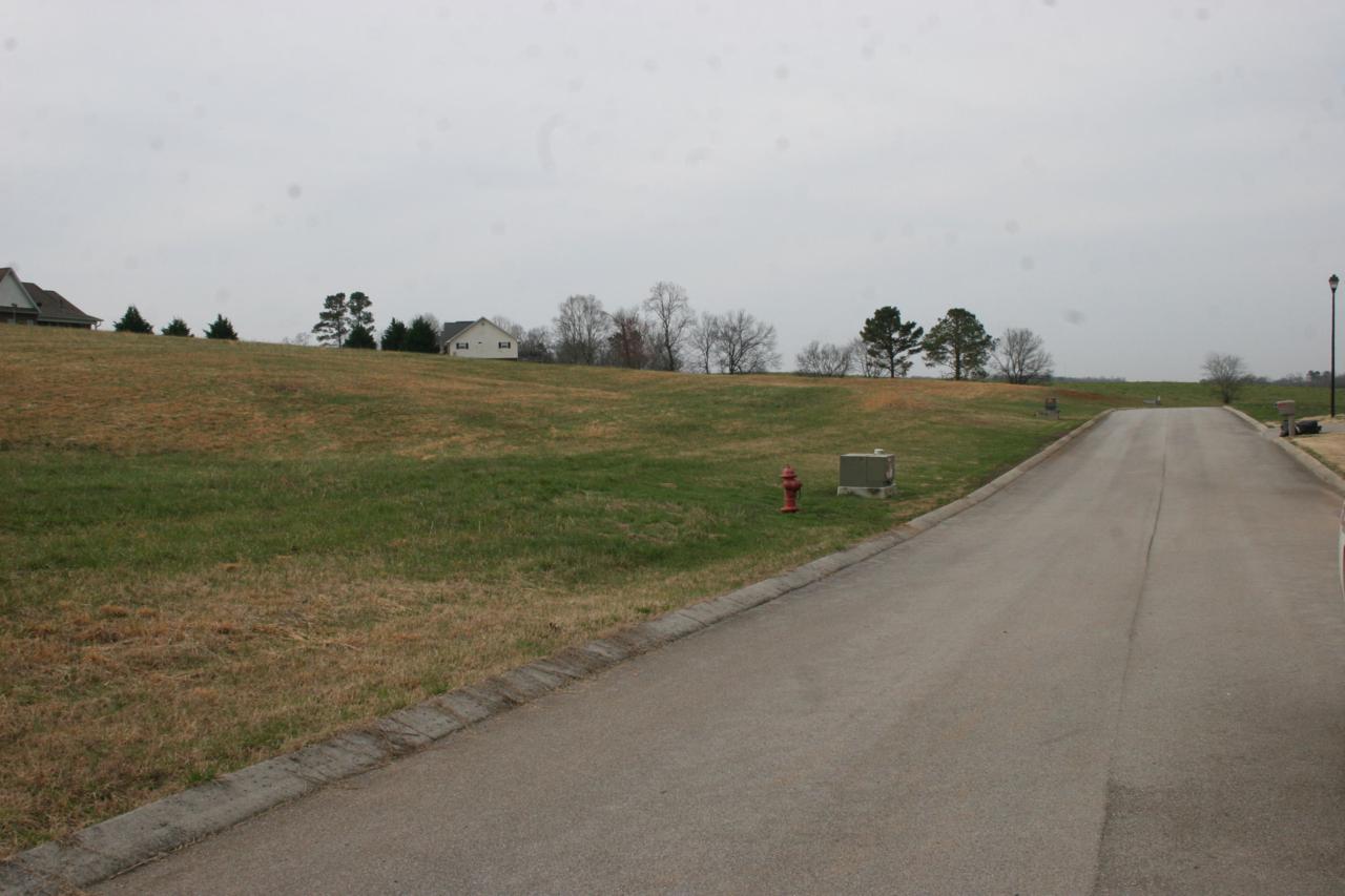 Old Hickory Circle - Photo 1