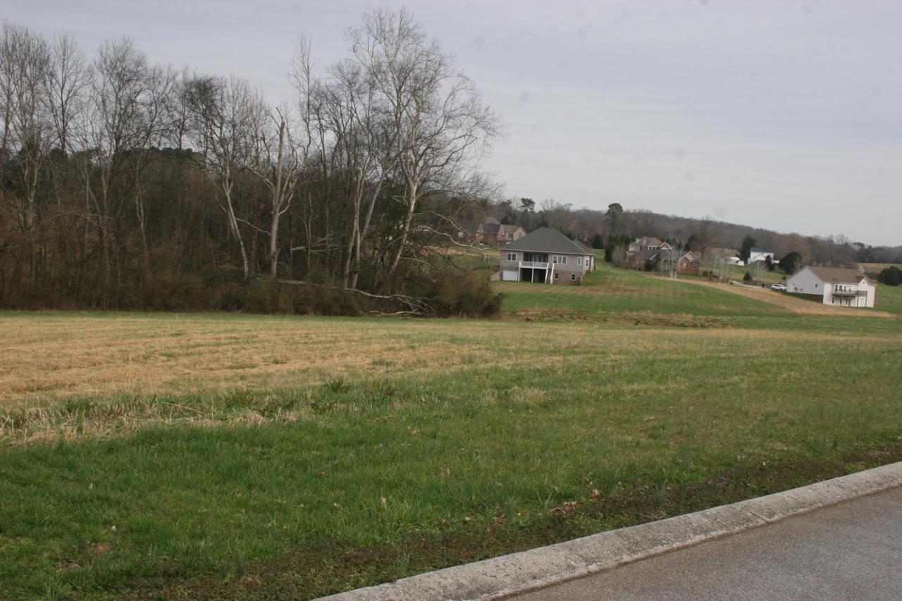 Old Hickory Circle - Photo 1
