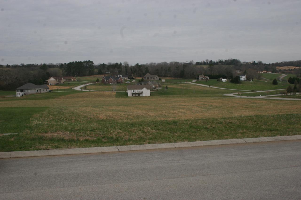 Old Hickory Circle - Photo 1