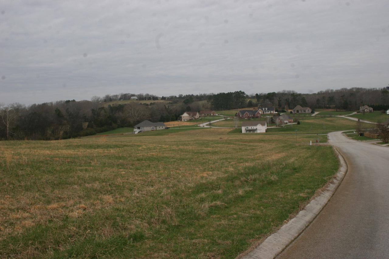 Old Hickory Circle - Photo 1