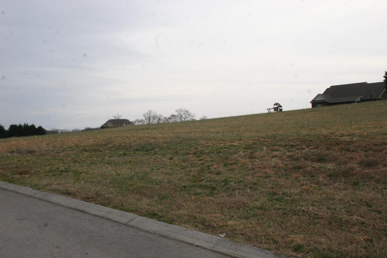 Old Hickory Circle - Photo 1