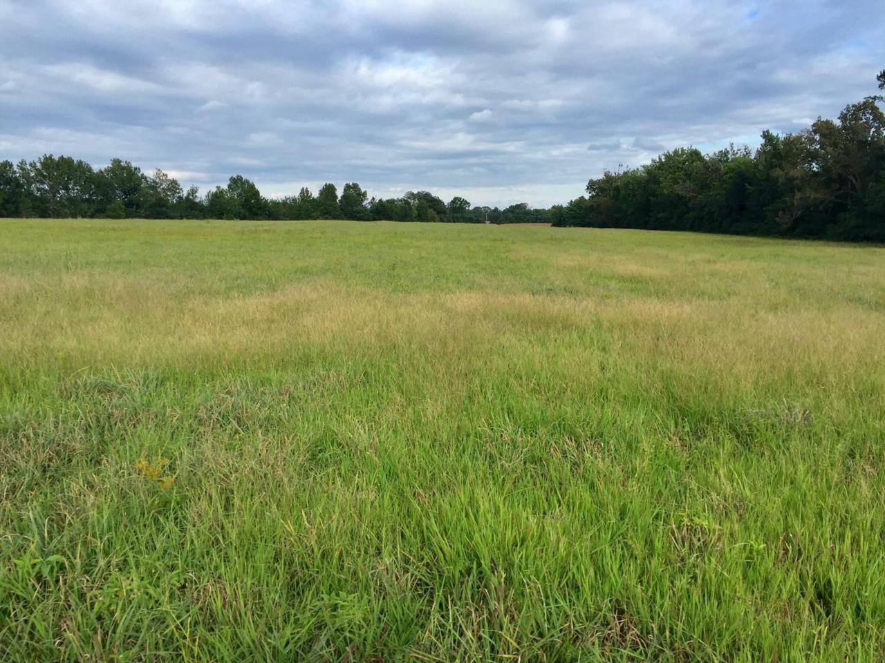 Hulon Ferrell Rd - Photo 1