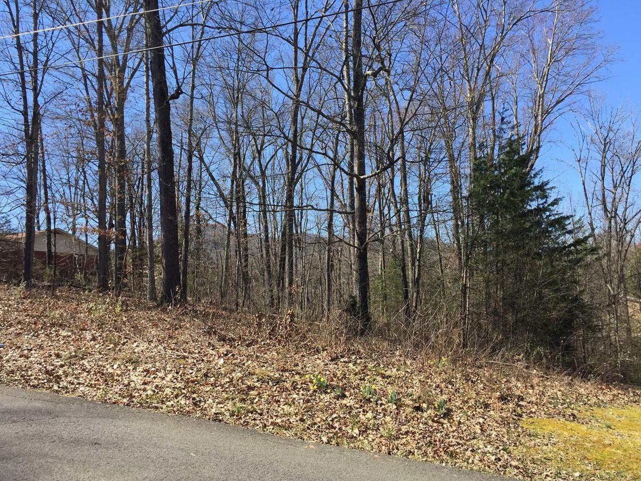 Lot 18 Sunset Circle - Photo 1