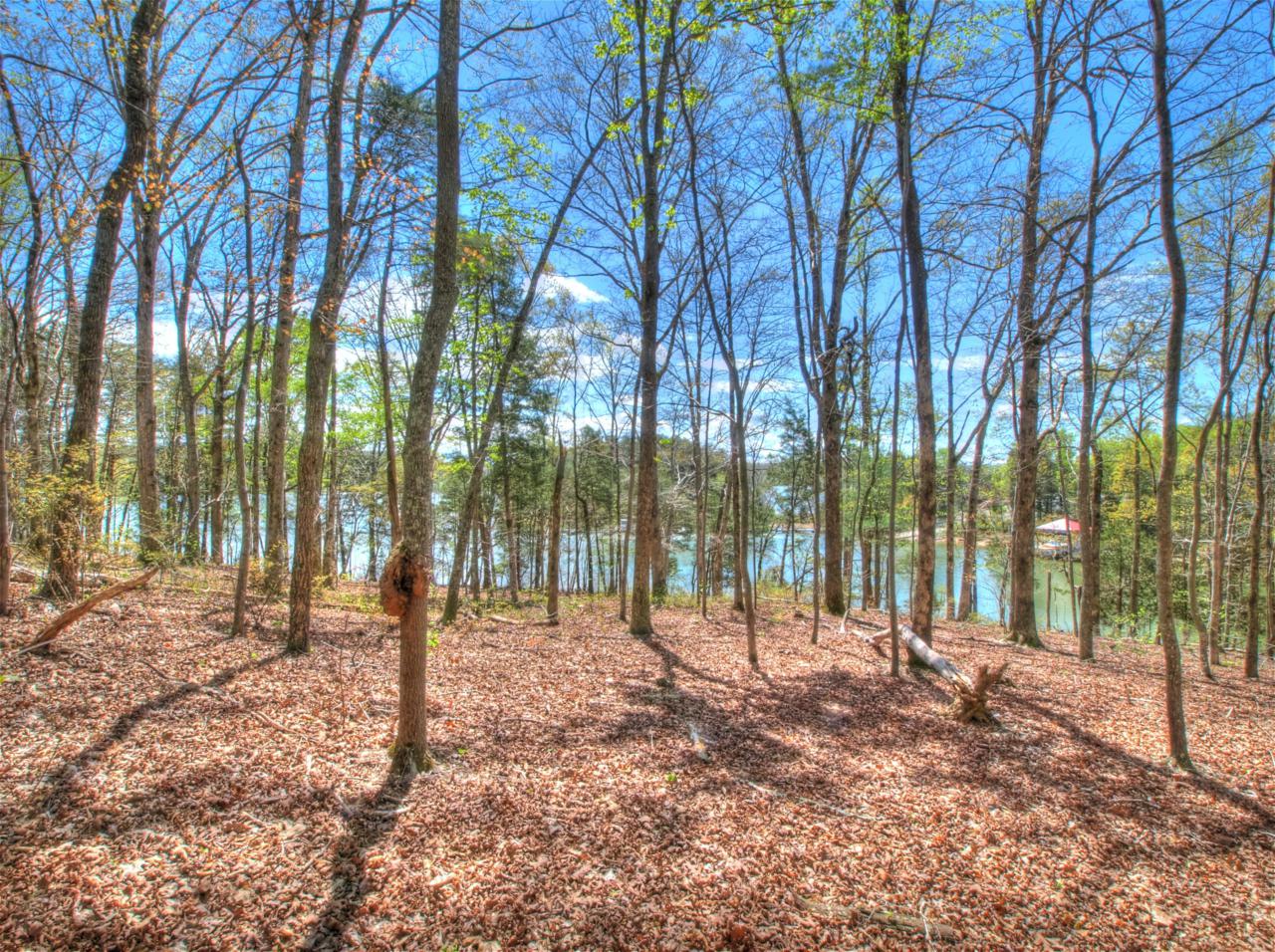 Lot 46 E Shore Drive - Photo 1