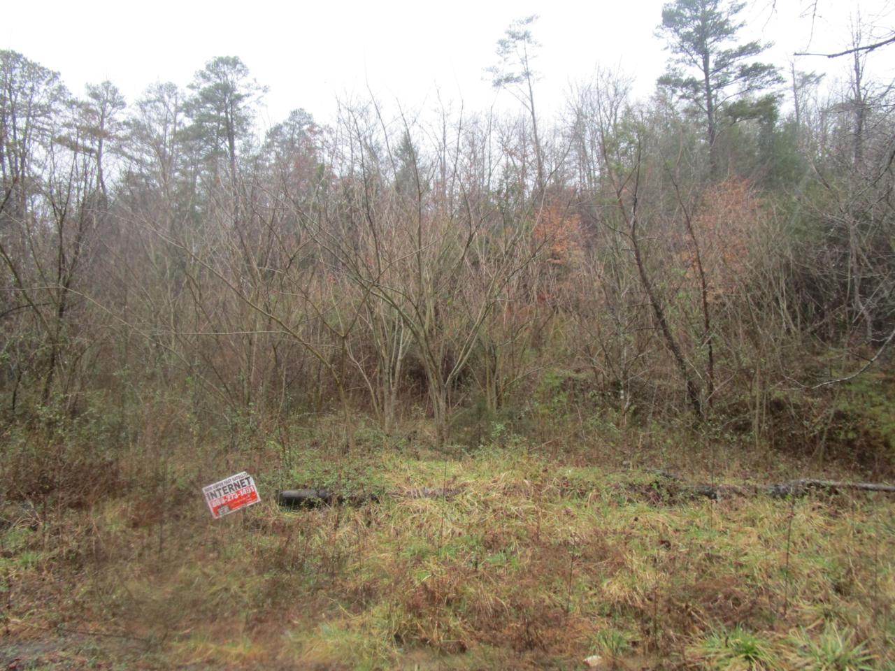 Brown Creek Drive - Photo 1